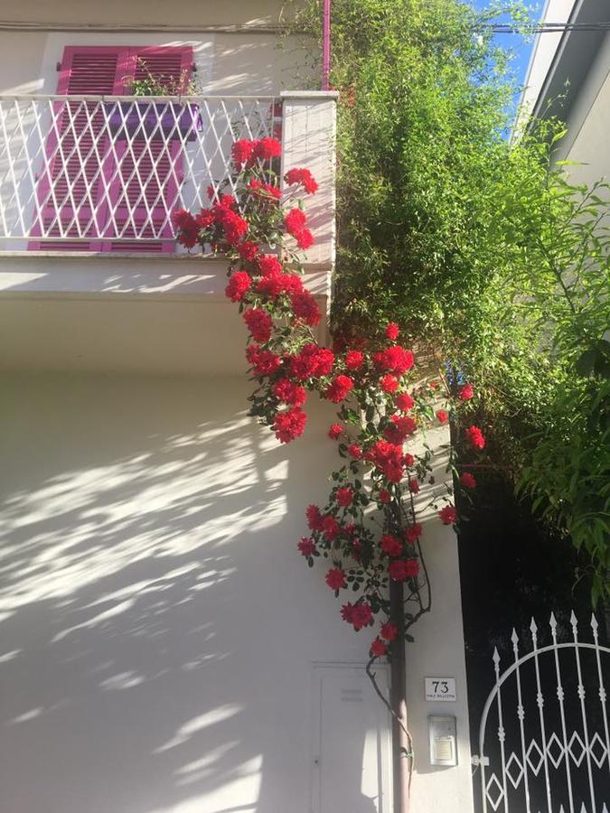 A Casa Di Lolu Bed & Breakfast Grottammare Eksteriør bilde